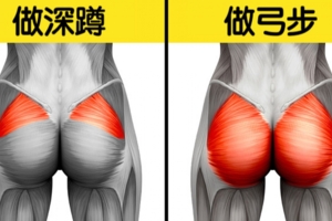 免去健身房也能鍛鍊出腹肌　12個「健身教練不想告訴你」的運動事實