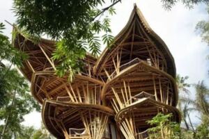 她用竹子建了一個別墅，引來全世界40多個國家圍觀！