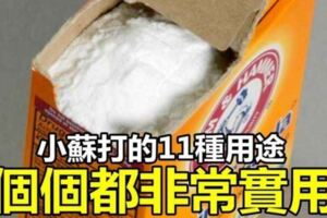 [小蘇打]的11種用途，非常實用