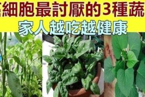 「腫瘤細胞」最怕3種蔬菜，陽臺栽上幾盆，綠色健康又好吃！