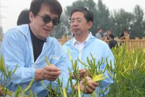 成龍呼籲成立基金保護長城，每人捐一塊錢，自己願意捐出100萬