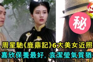 周星馳《鹿鼎記》6大美女近照：李嘉欣保養最好，袁潔瑩氣質猶在！