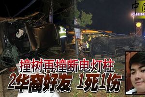 撞樹再撞斷電燈柱2華裔好友1死1傷