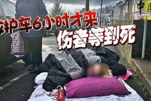 救護車6小時才來傷者等到死