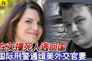 在英撞死人逃回國國際刑警通緝美外交官妻