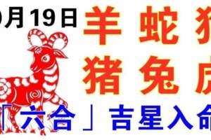 10月19日生肖運勢_羊、蛇、狗大吉