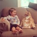 大橘貓與小男孩的約定「下輩子我們還要當好朋友」
