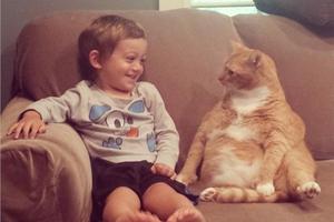 大橘貓與小男孩的約定「下輩子我們還要當好朋友」