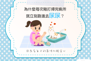 【貓咪行為學】清完貓砂就去尿？有自己的氣味才安心！