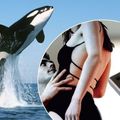 「順手尻一發！快救救鯨魚」只要上這個網站看A片就能拯救地球！大家一起化手淫為力量