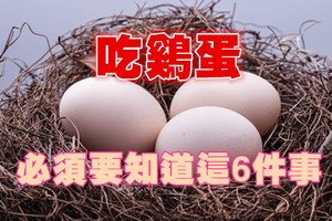 吃雞蛋必須要知道這6件事