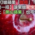 打蠟蘋果「致癌」？快速一招讓果蠟驚悚現形！遇上「黑心蘋果」也不怕！