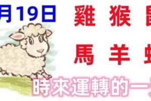 8月19日十二生肖運程【每日老黃曆】