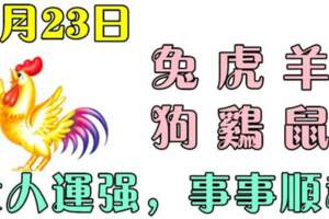 8月23日生肖運勢_兔、虎、羊大吉