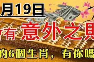 9月19日會有一筆意外之財進口袋的生肖，大財小財統統來