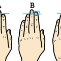 無名指的長短竟然是一個人的性格寫照，準確到爆，看完結果讓我反思這半輩子是不是走錯路了。