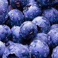 超強的抗氧化 10大紫色蔬果! 十大紫色蔬果排行榜~
