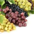 吃葡萄要不要吐葡萄籽？吃葡萄必知的5個小常識！
