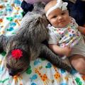 5個月大嬰兒與一隻萌樹懶的日常生活，畫滿太溫馨 !