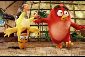 《憤怒的小鳥》電影版強勢來襲，講述紅色小鳥再次暴怒的故事。