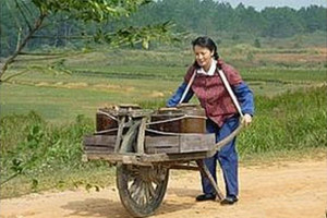 命苦的三個生肖女，一輩子都在操勞！