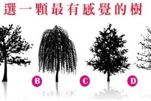 選一棵最有感覺的樹 看出你內心最依賴誰？