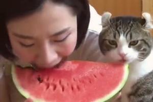 美女吃西瓜太投入，一回神發現貓咪在偷吃當場萌哭