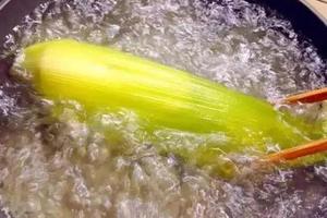 煮玉米前1個小動作，能隨手收穫大營養，神奇！