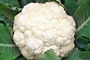 這種白色的蔬菜，營養價值極高是防癌抗癌「良藥」