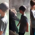 [動物星球] 爸爸讓男孩與小熊嬉鬧 溫馨瞬間卻見小熊悄悄張口…