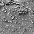 這些奇怪的結構暗示著火星上可能有生命體存在 組圖