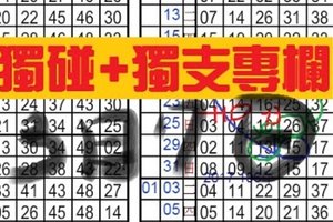 (03/07)六合彩【獨碰+獨支專欄】天機數~港號~僅供參考