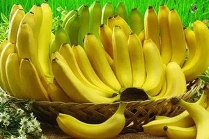 飯前一根香蕉，太厲害了!可是知道的人太少了!(圖)