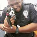 這名警官在執勤公務時，撞見到了這隻被棄養的小狗狗，於是他決定…讓人直呼鐵漢柔情！