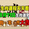 【生肖運程天天看】8月11日生肖運勢 狗，羊，虎大吉