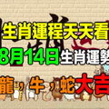 【生肖運程天天看】8月14日生肖運勢 龍，牛，蛇大吉