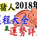 屬豬人 2018 年 運 程 大全 及 運 勢 詳 解