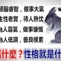 十二生肖所代表著的截然不同的性格 你 屬 什 麼？性 格 就 是 什 麼？很 準 哦！