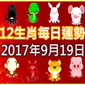 【每日運勢】12生肖之每日運勢2017年9月19日 