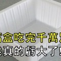 「豆腐盒」吃完千萬別丟，不然真的虧大了！沒想到這一招，我媽用一次就愛上！可惜大家都不知道... 