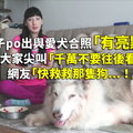 女子po出與愛犬合照「有亮點」，讓大家尖叫「千萬不要往後看」！網友「快救救那隻狗！...」