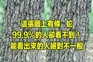 這張圖太神奇了，據說圖中有一條蛇，99%的人都找不到它在哪裡！ 