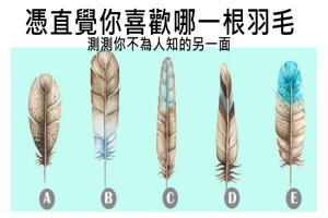 【心理測試】憑直覺你喜歡哪一根羽毛？測測你不為人知的另一面 