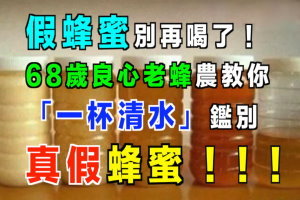 假蜂蜜別再喝了！68歲良心老蜂農教你「一杯清水」鑑別真假蜂蜜 