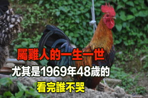 屬雞人的一生一世：尤其是1969年48歲的，看完誰不哭？ ! 