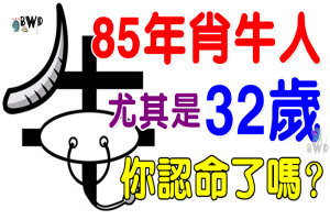 85年肖牛人的後50年：尤其是32歲的，你認命了嗎？ 