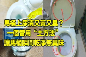 馬桶上尿漬又黃又臭 ？一個管用 “土方法” ，讓馬桶瞬間乾淨無異味 ! 