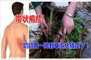 叔叔生蛇生到蛇纏腰，婆婆用一種野草泡水立刻搞定！ 