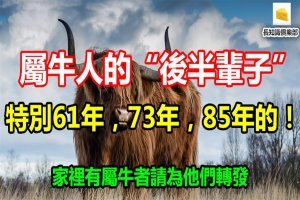 屬牛人的「後半輩子」，特別61年，73年，85年的！家裡有屬牛者請為他們轉發