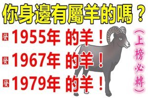 你身邊有屬羊的嗎？1955年，1967年，1979年的生肖羊，一生一世的命運！神準！